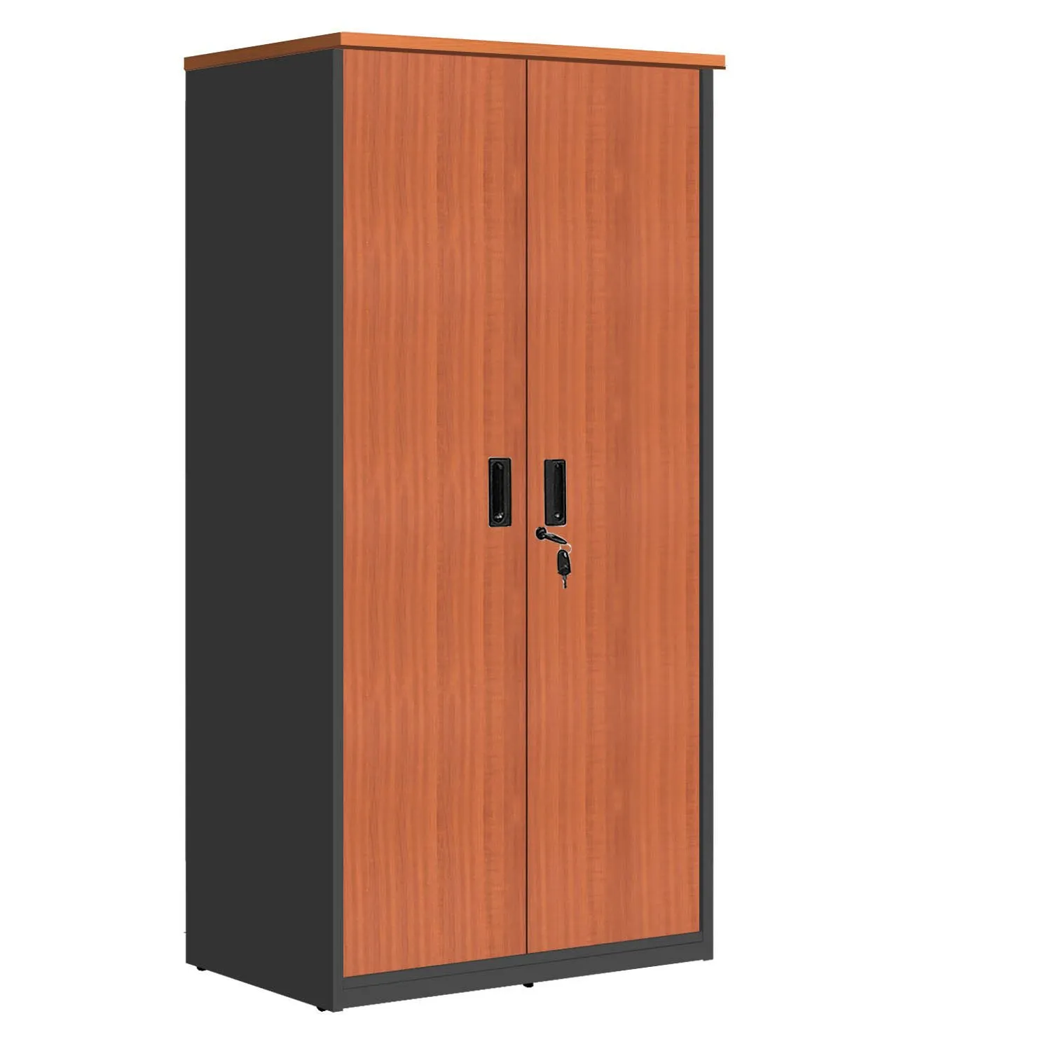 Cabinet With Door