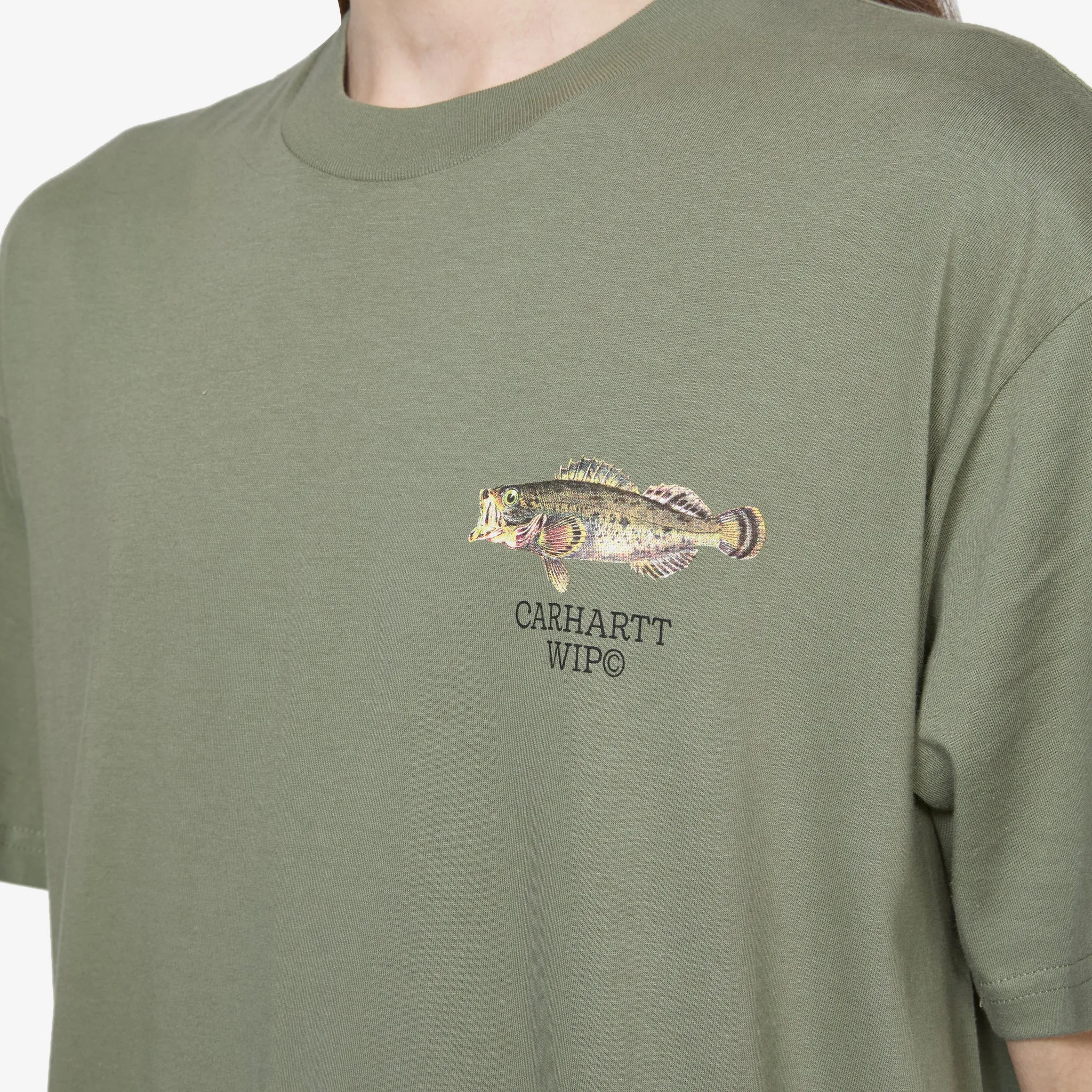 Fish Short Sleeve T-Shirt Dollar Green